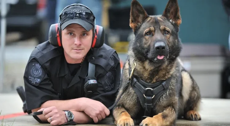 نژادهای سگ پلیس و خدمات شگفت‌انگیز آن‌ها