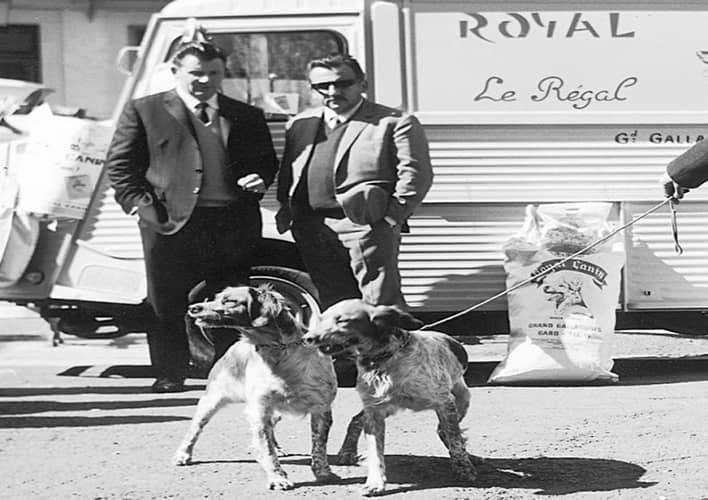 عکس معرفی برند رویال کنین Royal Canin
